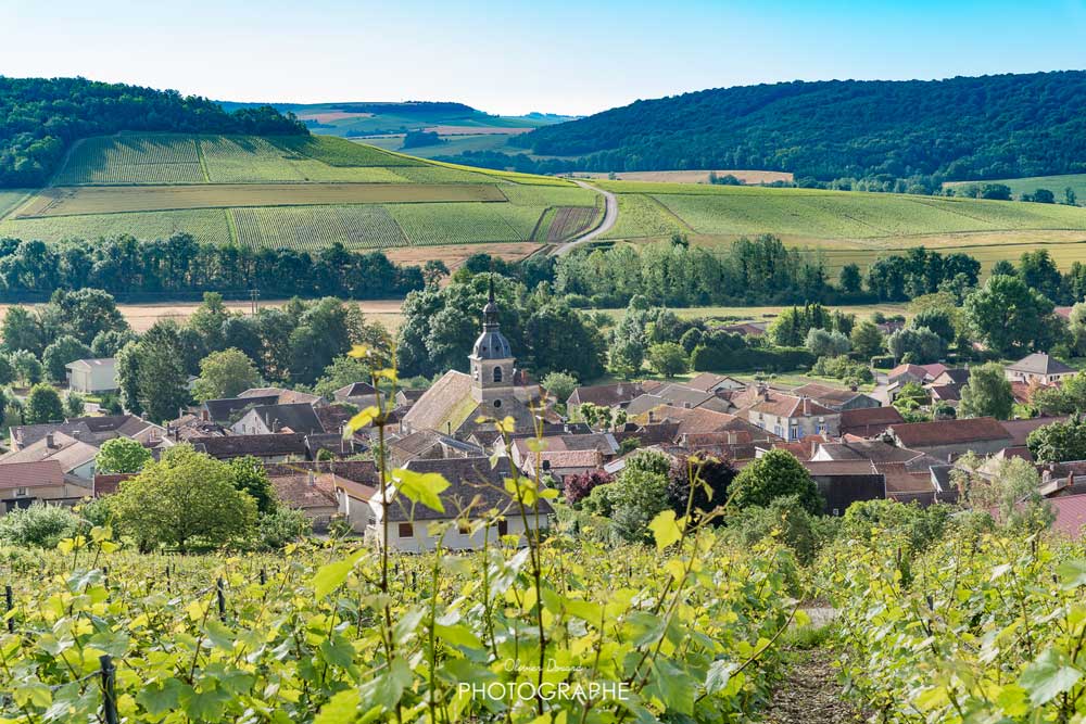 Arrentiéres - Maison de Champagne